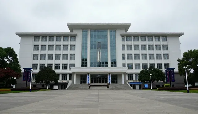 系统集成服务如何适应不同市场环境